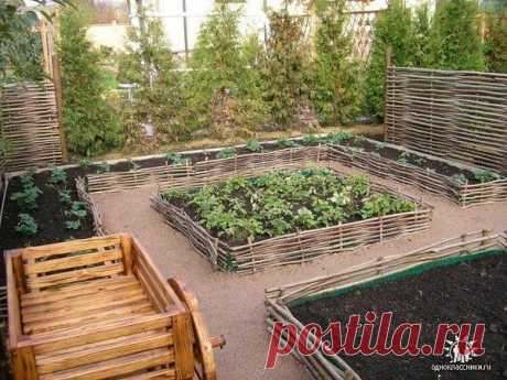 Станьте хозяином самого оригинального дачного участка! Замечательные идеи декора