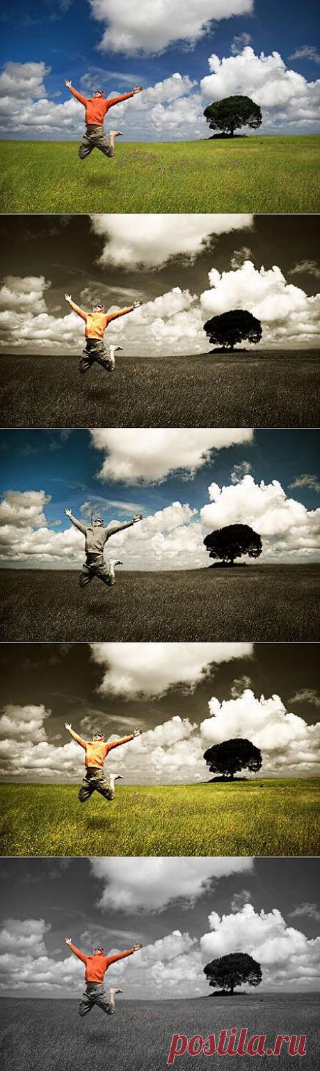 Разнообразная Сепия -&gt; Demiart