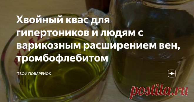 Хвойный квас для гипертоников и людям с варикозным расширением вен, тромбофлебитом