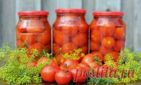 7 потрясающих рецептов маринованных помидоров на любой вкус (с фото) 
 
 
 




Во время праздничных застолий коронные закуски каждой хозяйки – домашние маринады и соленья. Именно поэтому маринование огурцов и помидор – важный пункт в списке сезонных дачных забот. Пред…