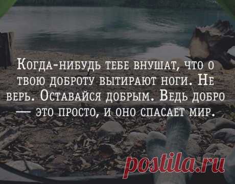 Когда-нибудь тебе внушат, что о твою доброту вытирают ноги. Не верь. Оставайся добрым. Ведь добро — это просто, и оно спасает мир | Мир позитивных новостей
