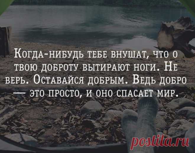 Когда-нибудь тебе внушат, что о твою доброту вытирают ноги. Не верь. Оставайся добрым. Ведь добро — это просто, и оно спасает мир | Мир позитивных новостей