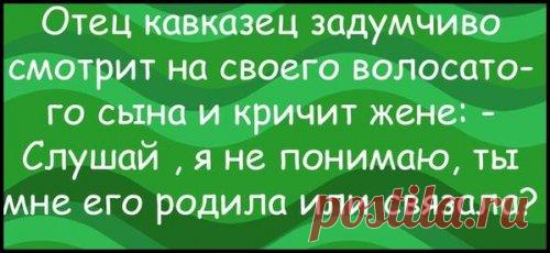 Субботние анекдоты из Грузии