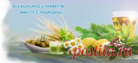 Очищение организма от шлаков в домашних условиях - "Советы Народной Мудрости" - bondarevati@mail.ru - Почта Mail.Ru