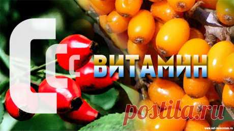 Витамин С (аскорбиновая кислота) 

Витамин С (аскорбиновая кислота) является одним из самых важных витаминов. Аскорбиновая кислота - это водорастворимый витамин, который разрушается при прямом контакте с кислородом и при нагревании.