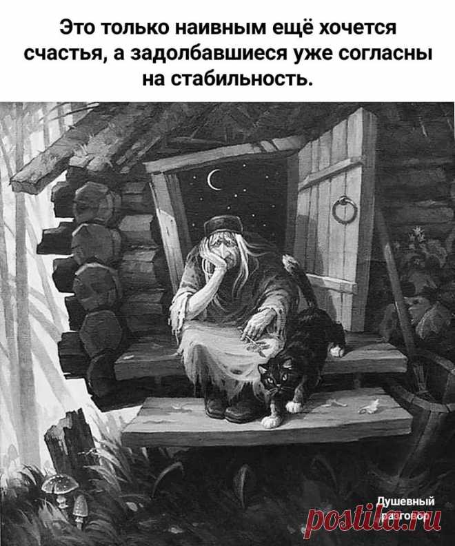 (3) Facebook