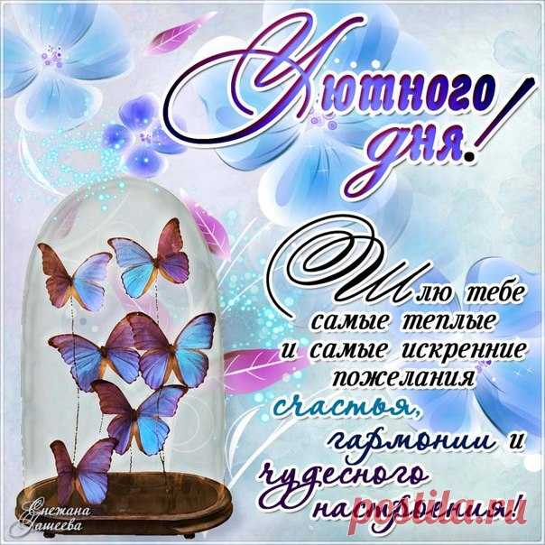 Привет Доброе утро Уютного дня