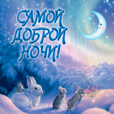 Звезды светят вдалеке,
Город дремлет в тишине.
Доброй ночи, снов приятных
И чудес невероятных!