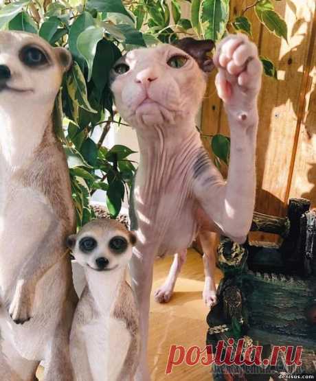 Короткие анекдотики Вино и женщины, совсем другое дело! Это вам не водка и бабы!Большинство женщин любит ушами. Зато те, которые любят ртом, побеждают.От двухкратной олимпийской чемпионки по метанию копья ушел муж. Недал...