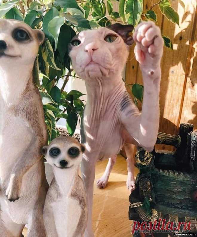 Короткие анекдотики Вино и женщины, совсем другое дело! Это вам не водка и бабы!Большинство женщин любит ушами. Зато те, которые любят ртом, побеждают.От двухкратной олимпийской чемпионки по метанию копья ушел муж. Недал...