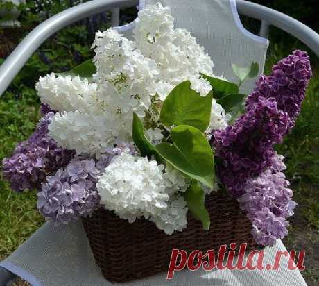 КАКОЙ СЕГОДНЯ ПРАЗДНИК? 10 Июня 2016 г. – Пятница • День рождения шариковой ручки 73 года • День рождения киностудии Союзмультфильм 80 лет • День разрисованных ладоней • День пресс-служб МВД РФ 13 лет • День поперхальщиков • День Португалии 436 лет • День часов - Япония • День пограничника - Молдавия • День арабской армии - Иордания • Именины у Еликонида, Игнатия, Елладия, Никиты, Евтихия, Богумила • Никита Гусятник