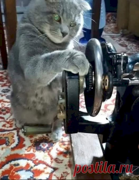 cc0f4b9f.jpg (526×679)