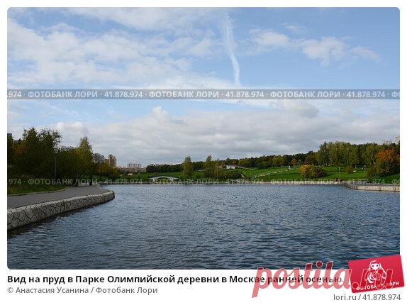 Вид на пруд в Парке Олимпийской деревни в Москве ранней осенью. (2016 год) Редакционное фото, фотограф Анастасия Усанина / Фотобанк Лори