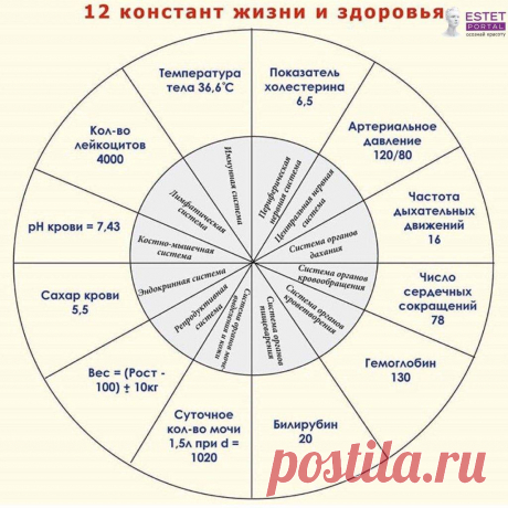 12 констант здоровья которые необходимо знать Интересные факты обо всём на свете, которых вы, возможно, не знали.
