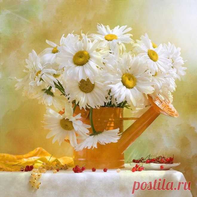 (4) Facebook