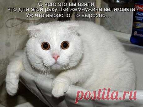 Жемчужинка )))