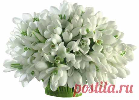 🌹🌹🌹Весеннего настроения!🌹🌹🌹