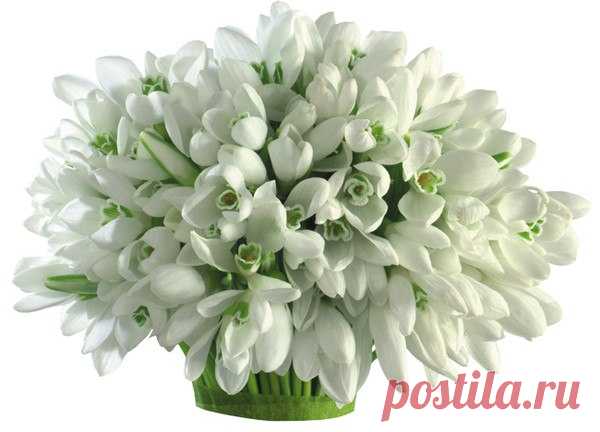 🌹🌹🌹Весеннего настроения!🌹🌹🌹