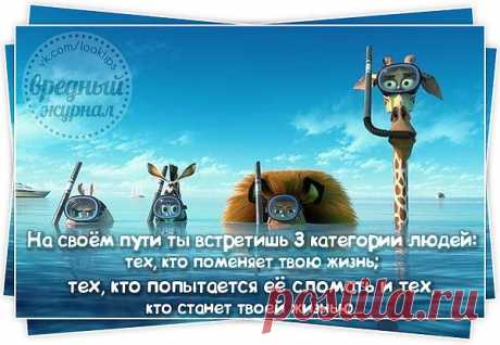 Мой Мир@Mail.Ru