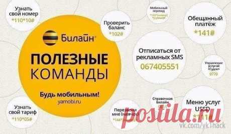 Полезные команды.