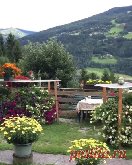 (4) Facebook