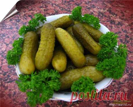 Квашенные огурцы на зиму..