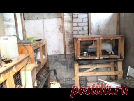 Новый крольчатник. Начало