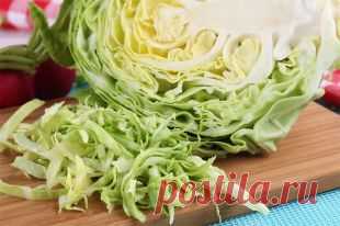 Похрустим? Какие домашние блюда можно приготовить из капусты