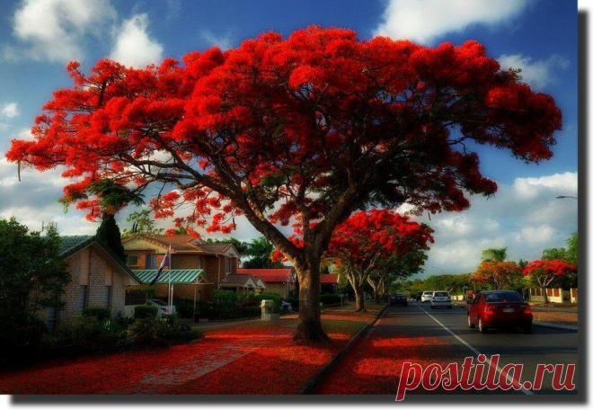 Толкование снов про деревья
  Деревья символически соединяют землю и небеса и являются архетипическим символом, представляющим...
Читай пост далее на сайте. Жми ⏫ссылку выше