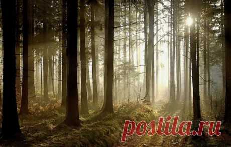 Солнце - Польза Солнца Источника Жизни