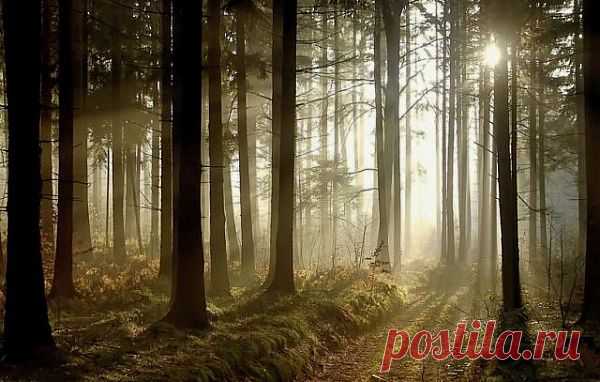 Солнце - Польза Солнца Источника Жизни