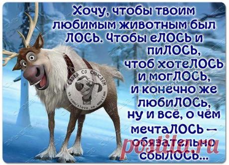 Слова со смыслом|Женский Юмор, Статусы, GIF