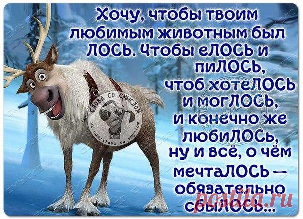 Слова со смыслом|Женский Юмор, Статусы, GIF