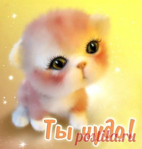 Мой Мир@Mail.Ru