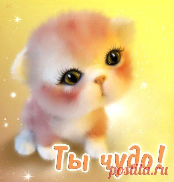 Мой Мир@Mail.Ru