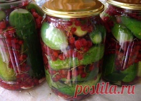 Огурцы, консервированные с красной смородиной