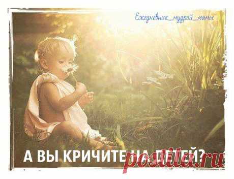 Ежедневник Мудрой Мамы