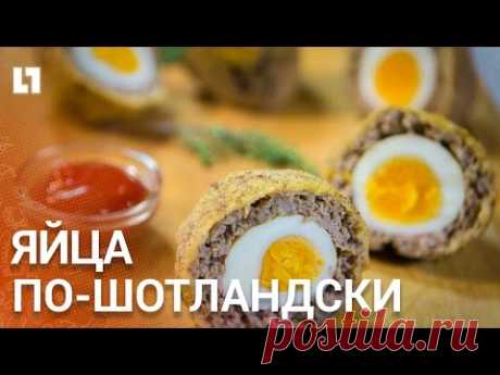 Видео: яйца по-шотландски