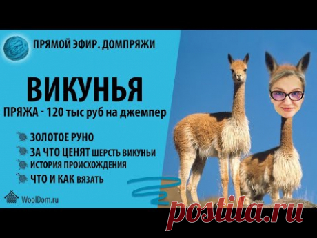 ВИКУНЬЯ. Пряжа - 120 тыс. руб. на джемпер.