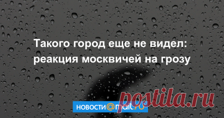 Такого город еще не видел: реакция москвичей на грозу