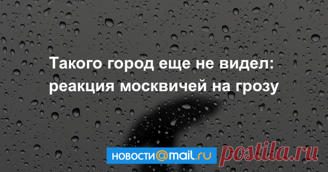 Такого город еще не видел: реакция москвичей на грозу
