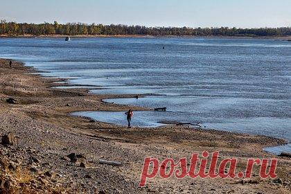 У США и мира начались серьезные проблемы из-за реки. Из-за рекордно низкого уровня воды в реке Миссисипи, по которой США доставляют на мировые рынки критически важные продукты питания, древесину, уголь и сталь, баржи садятся на мель, замедляя американский экспорт. Пересыхание Миссисипи вынуждает фермеров искать альтернативы, причем все более дорогие.