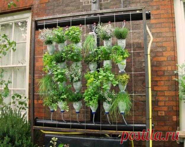 10 Fabulous Ideas to Reuse and Recycle Plastic Bottles and Save Money