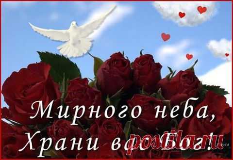 (5) Facebook