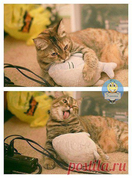 Какая гадость эта ваша плюшевая рыба