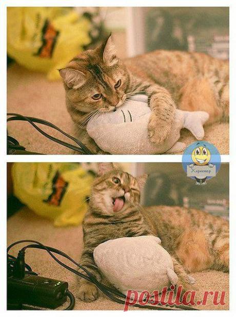 Какая гадость эта ваша плюшевая рыба