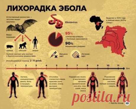 Редкие кадры
Сохраните к себе на стену, чтобы быть в курсе и предупредить своих друзей.