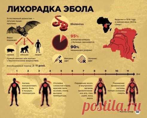 Редкие кадры
Сохраните к себе на стену, чтобы быть в курсе и предупредить своих друзей.