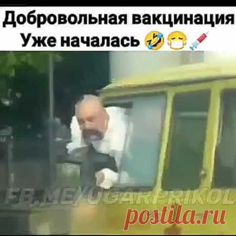 редиска на зиму