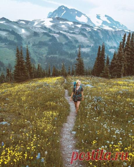 Брэйдин Тот — фотограф, влюблённый в планету / Туристический спутник